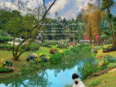 -人民公园(罗湖区)