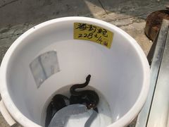 -顺德了能馆(虎门店)