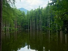 -波尔登森林公园