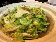 油渣炒牛心白-眉州东坡(亚运村店)