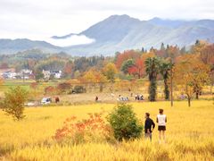 -塔川景区