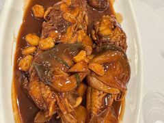 红烧河豚鱼-新雅粤菜馆(南京东路店)