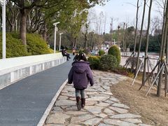 -新江湾城公园