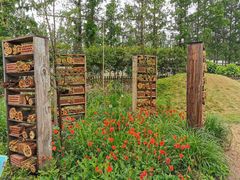 -前小桔亲子创意农场·草莓采摘·露营烧烤