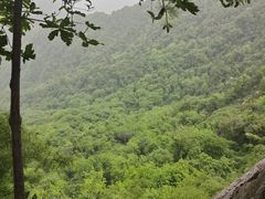 -太平万花山景区