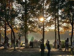 -白鹭湾湿地公园