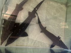 -红井路游艺炖锅·音乐餐吧(十渡店)