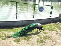 -无锡动物园·太湖欢乐园