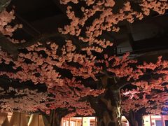 -蓝鲸湾汤泉(包河店)