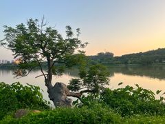 -鹤之洲湿地公园