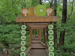 -大岭沟猕猴桃谷风景区