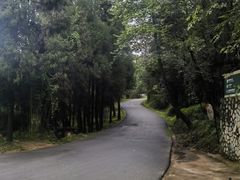 -云南野生动物园