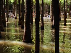 -捞渔河湿地公园