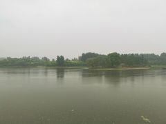 -东郊湿地公园