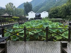 -荷塘味道(水长城店)