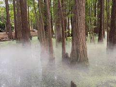 -东湖落雁景区
