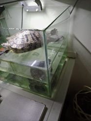 -和寿堂·艾灸·推拿按摩减肥中心