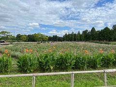 -宁波杭州湾国家湿地公园