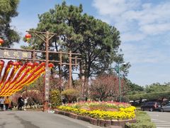 -广州莲花山旅游区