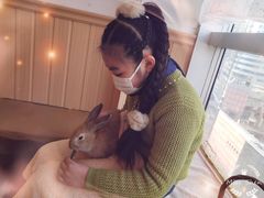 -猫猫幼稚园·撸猫·桌游·电玩