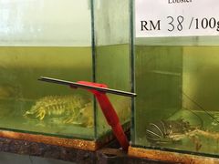 -ZF Seafood Restaurant 卓峰海鲜餐