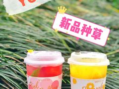 -YO!TEA有茶(科兴科学园店)