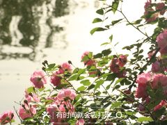 -北京动物园