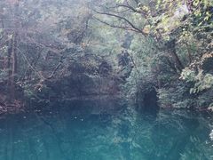 -之江大学-旧址