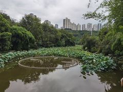 -龙头寺公园