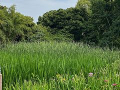 -成都市活水公园