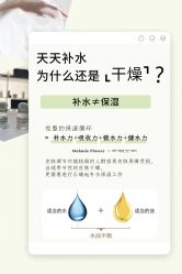 点击看大图 -玛莲朵·海菲秀冰珀科