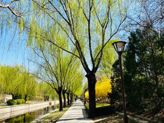 -元大都城垣遗址公园