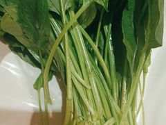 -芦月轩羊蝎子(劲松店)