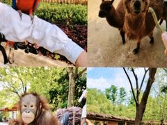 -大连森林动物园