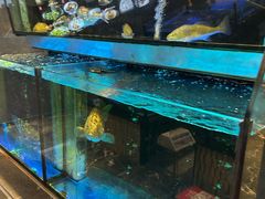 -稻香海鲜饭店(第一国际店)