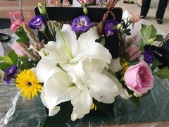 -北京三元桥丰田汽车销售服务有限公司(左家庄店)