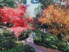 -杭州半山国家森林公园