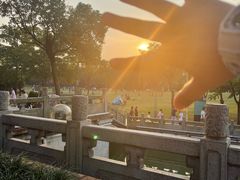-顺峰山公园
