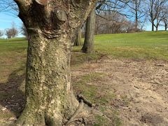 -东莞海逸高尔夫球会