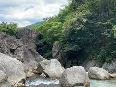 -炎陵县神农谷国家森林公园