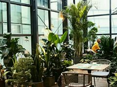 露天位-大树餐厅(红旗街万达店)