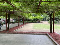 -嘉定紫藤园