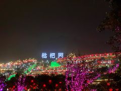 -枇杷园食为鲜火锅(南山店)