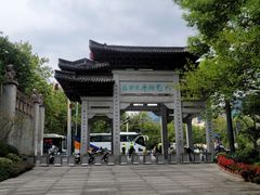 -运河游船(武林门码头)