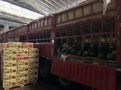 -深圳市海吉星国际农产品物流管理有限公司
