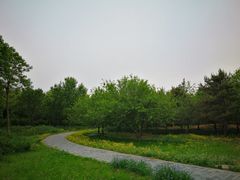 -东郊湿地公园