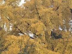 -青岛海滨风景区