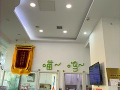 -纳吉亚猫专科动物医院·北北分院