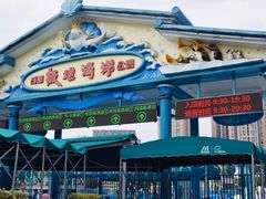 -海合安成都极地海洋公园