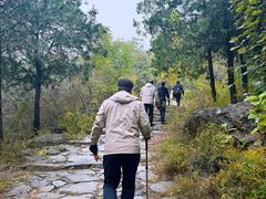 -阳台山自然风景区
